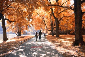 銀杏湖游樂園與旅游區(qū)(銀杏湖游樂園與旅游區(qū)有多遠(yuǎn))