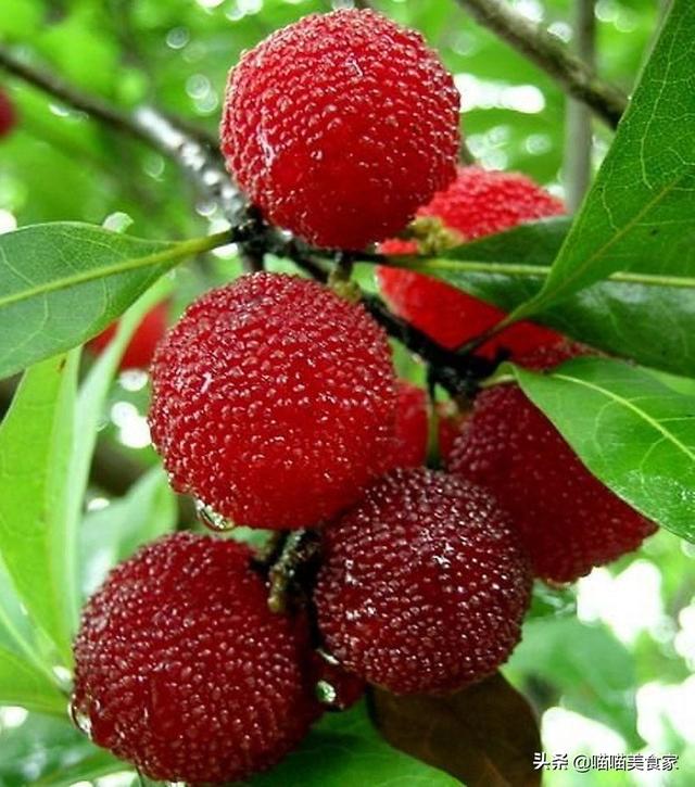 因?yàn)榧竟?jié)不同各地都有當(dāng)?shù)氐臅r(shí)令美食，你最喜歡的時(shí)令美食是什么？